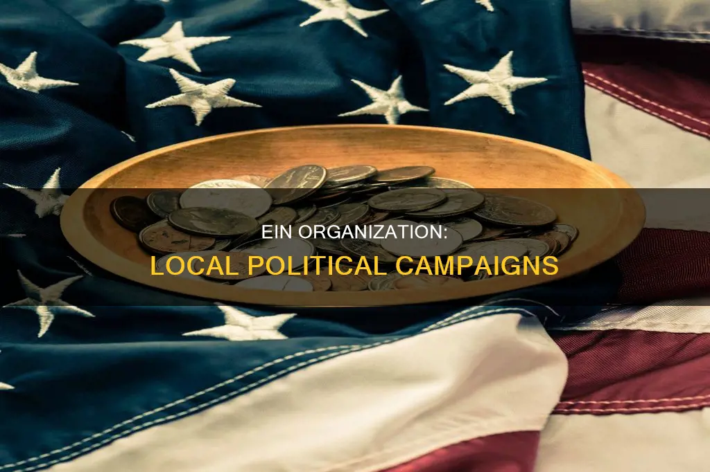 what type of ein organization for local political issue campaign