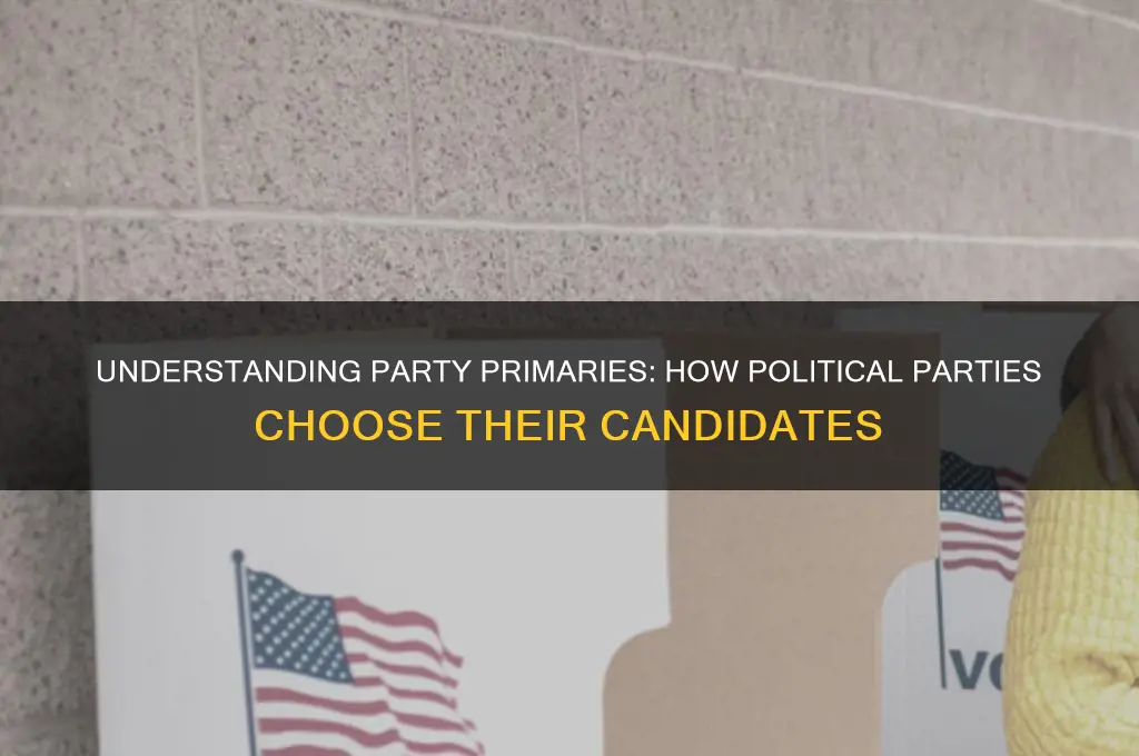 what type of election is held by a political party