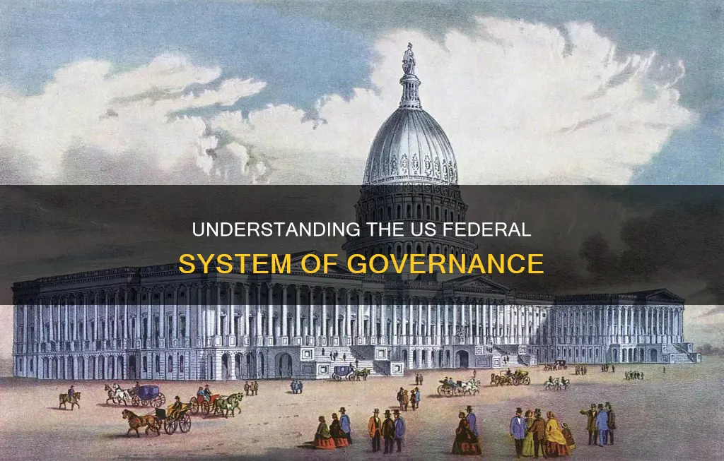 what type of gov does the us have