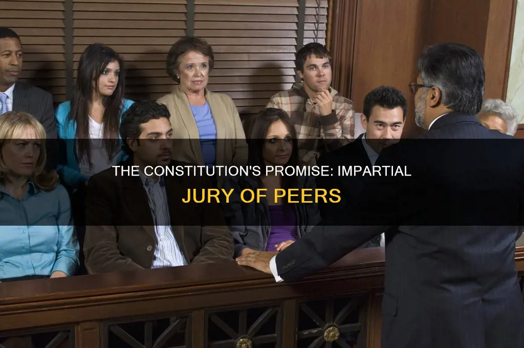 what type of jury is guaranteed by the constitution