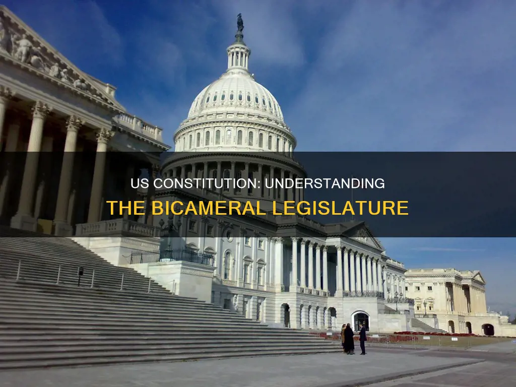what type of legislature does the us constitution have