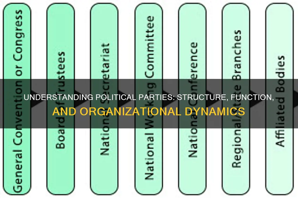 what type of organization is a political party