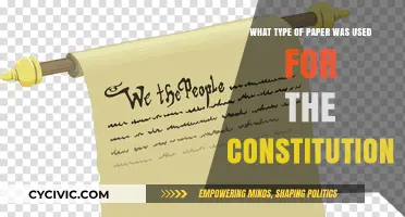 The Constitution's Paper: Understanding the Historical Choice