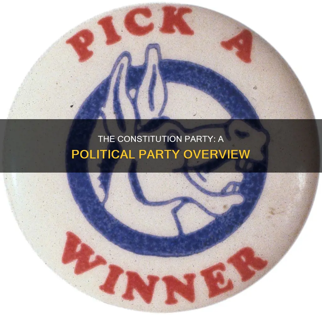 what type of party is the constitution party