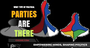 Exploring Diverse Political Party Types and Their Ideologies Worldwide