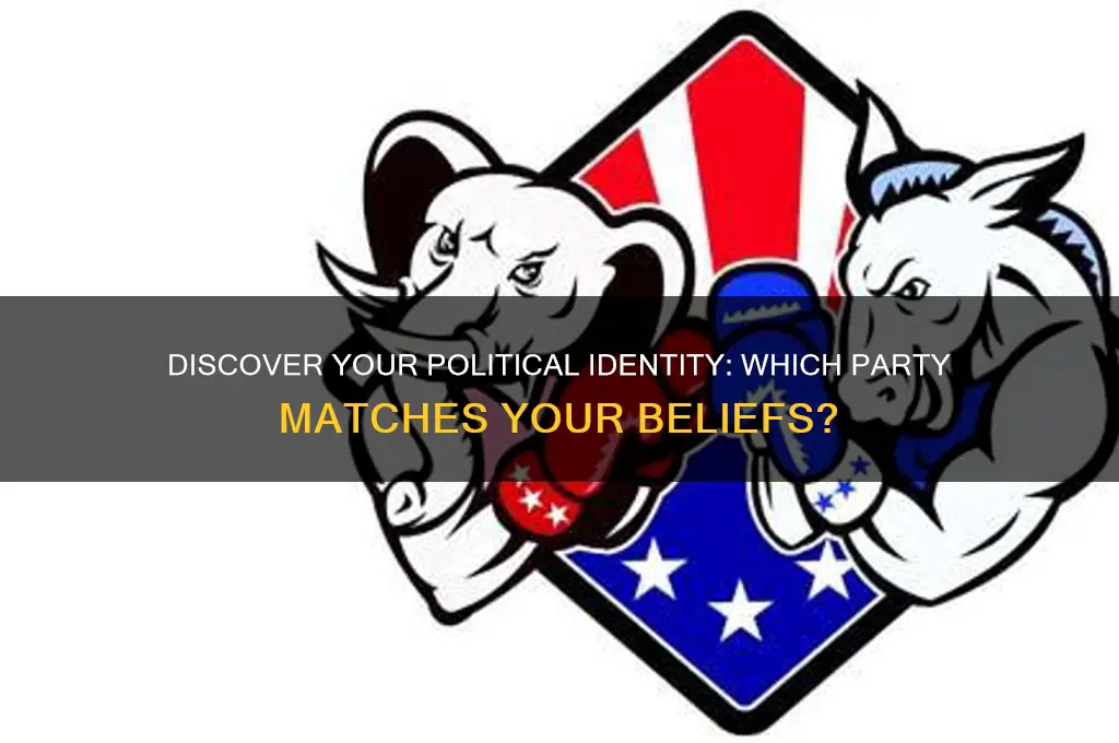 what type of political party am i