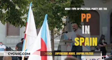 Understanding Spain's PP: A Conservative Political Party Analysis