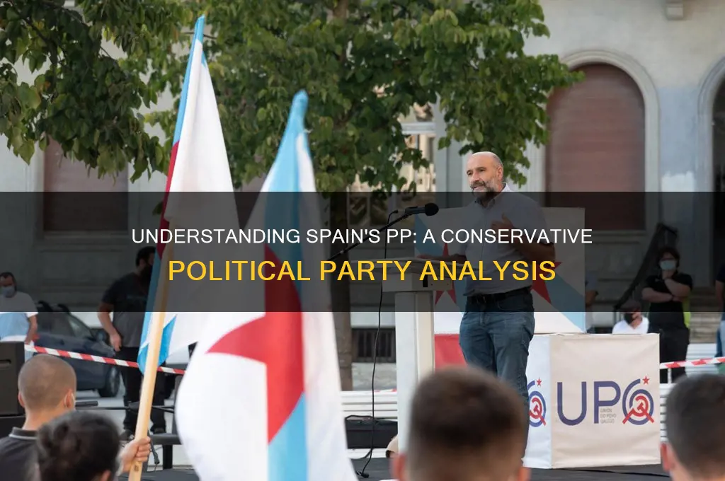 what type of political party are the pp in spain