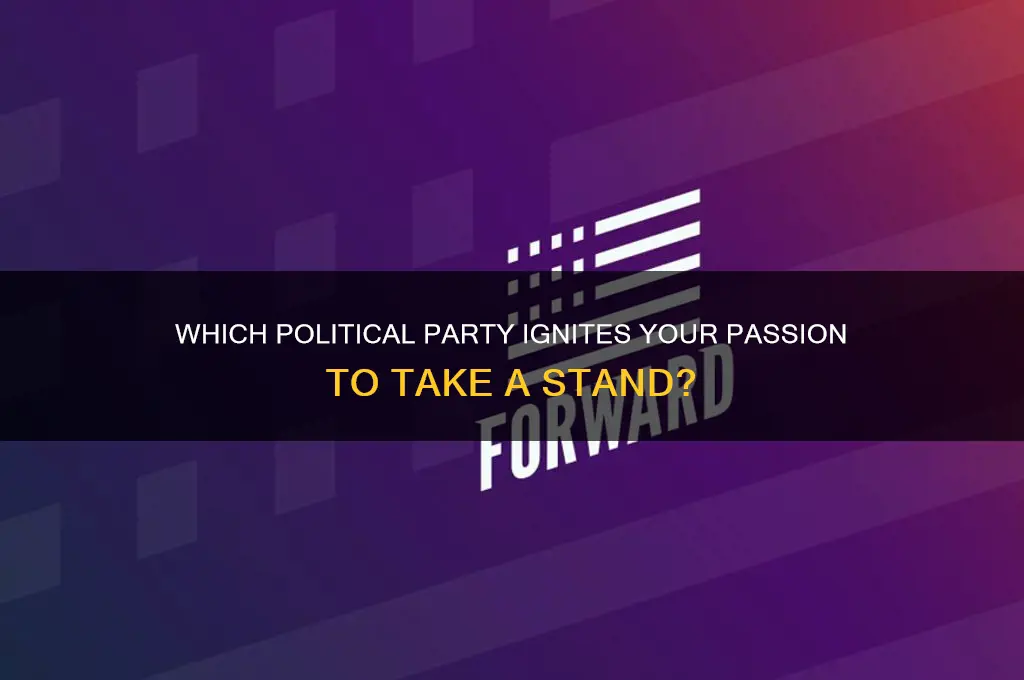 what type of political party makes you take a stand