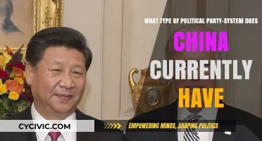 China's Unique Political Landscape: Understanding Its One-Party System