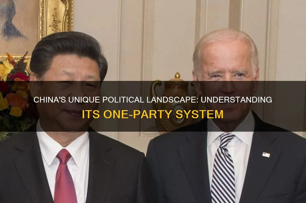 what type of political party-system does china currently have