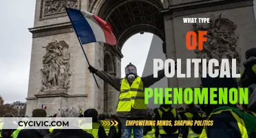 Understanding the Political Phenomenon: Types, Impacts, and Global Examples