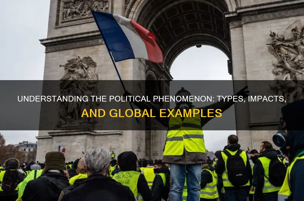 what type of political phenomenon