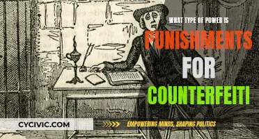 Counterfeiting Power: Understanding the Punishment's Reach