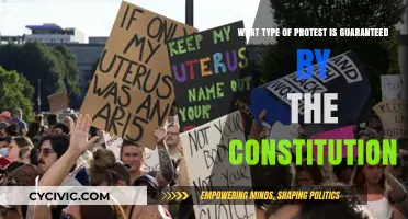 The Constitution's Promise: Right to Peaceful Protest