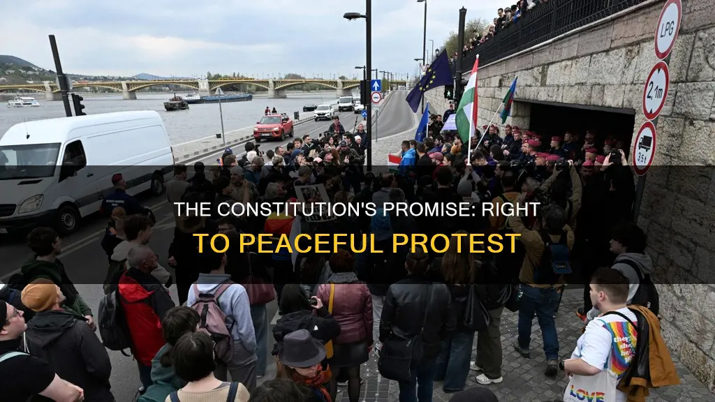 what type of protest is guaranteed by the constitution