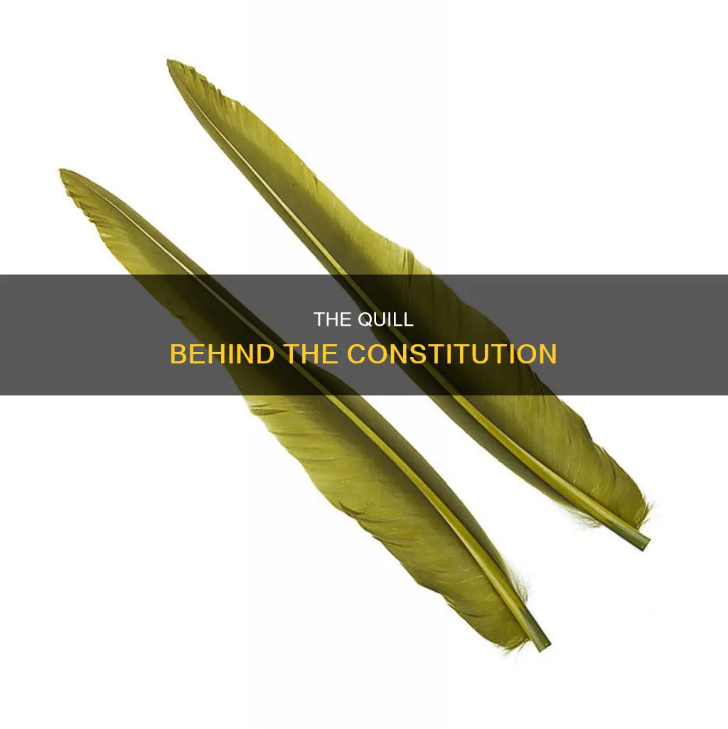 what type of quill was used to write the constitution