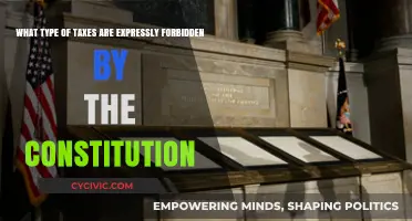 Constitution and Taxes: What's Forbidden?