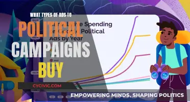 Political Campaigns: Ad Types and Strategies