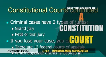 Constitutional Courts: Their Types and Functions