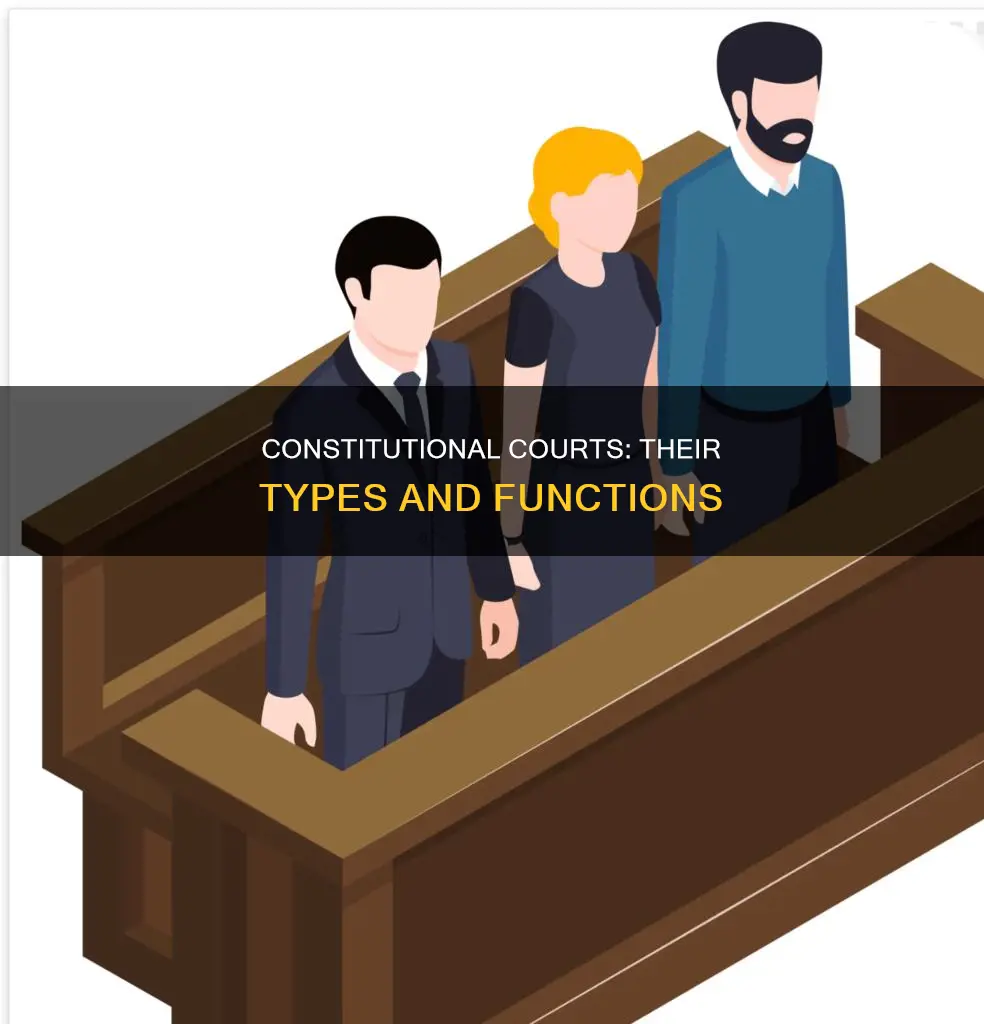 what types of courts are a constitutional court