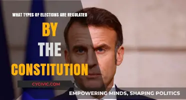 Constitution-Regulated Elections: What Types?