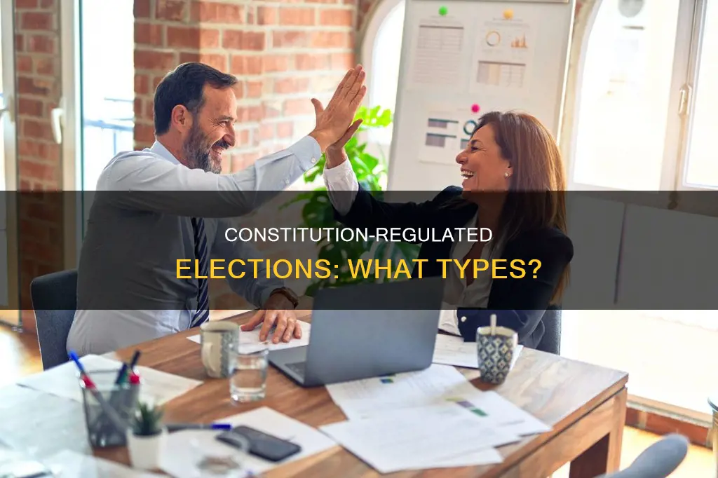 what types of elections are regulated by the constitution
