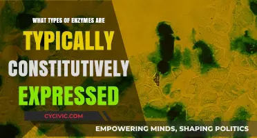 Enzymes Always On: Constitutively Expressed Proteins