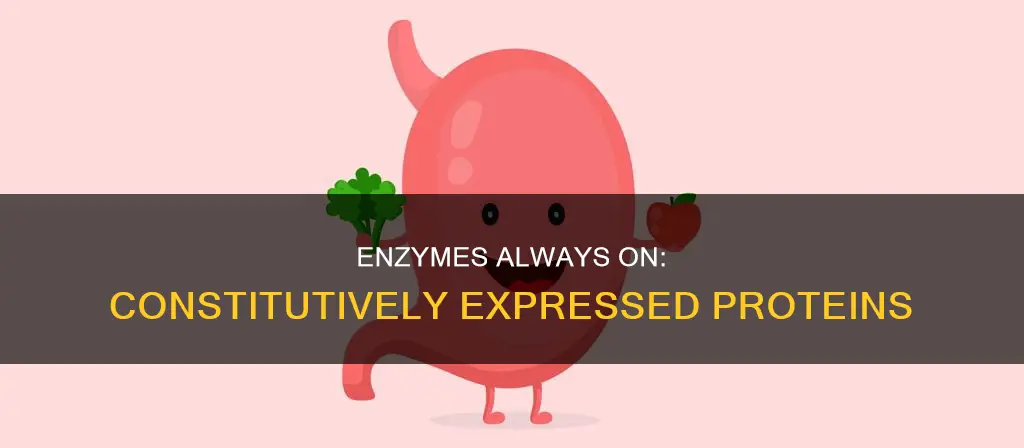 what types of enzymes are typically constitutively expressed