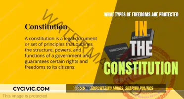 The Constitution's Promise: Freedoms Protected and Ensured