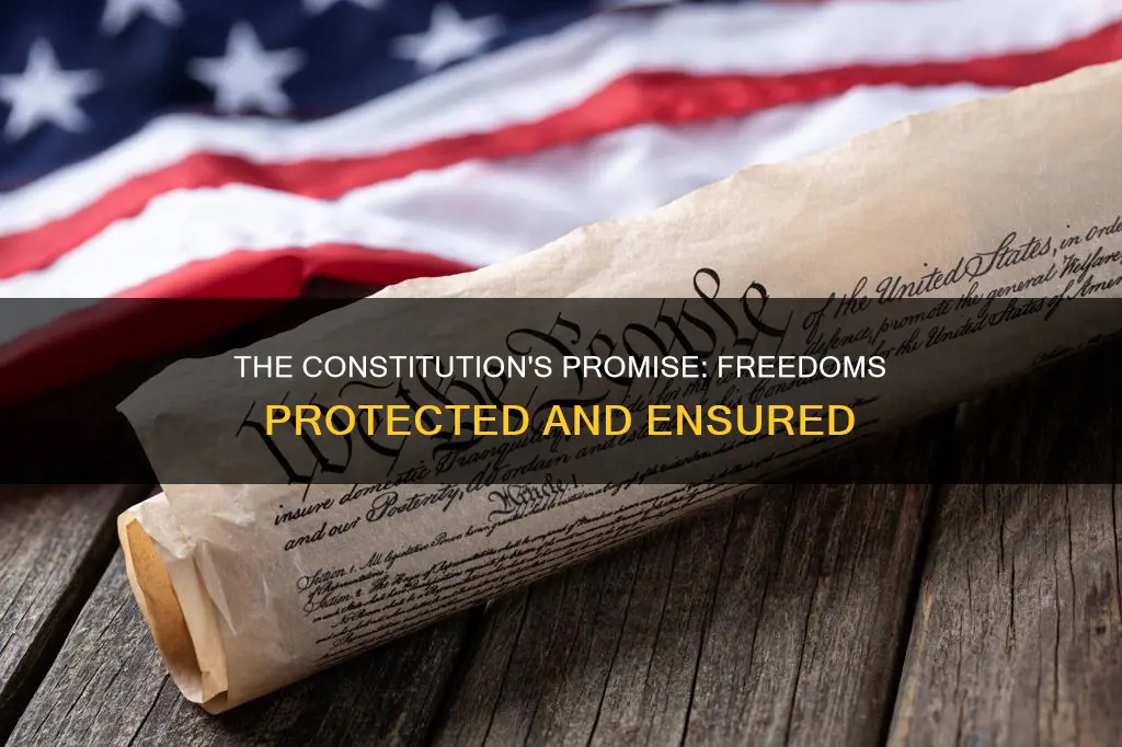 what types of freedoms are protected in the constitution