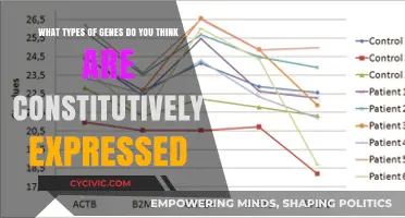 Gene Expression: Constitutively Active Genes and Their Functions