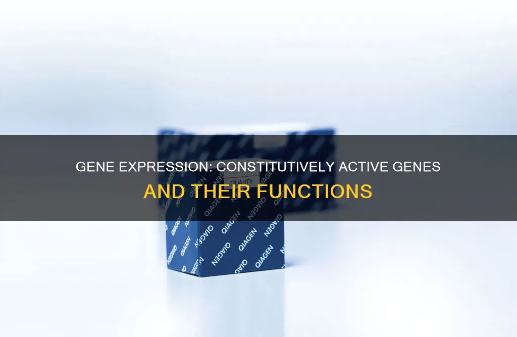 what types of genes do you think are constitutively expressed