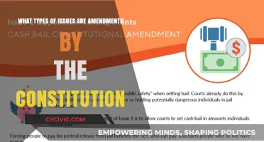 Amendments: The Constitution's Evolution