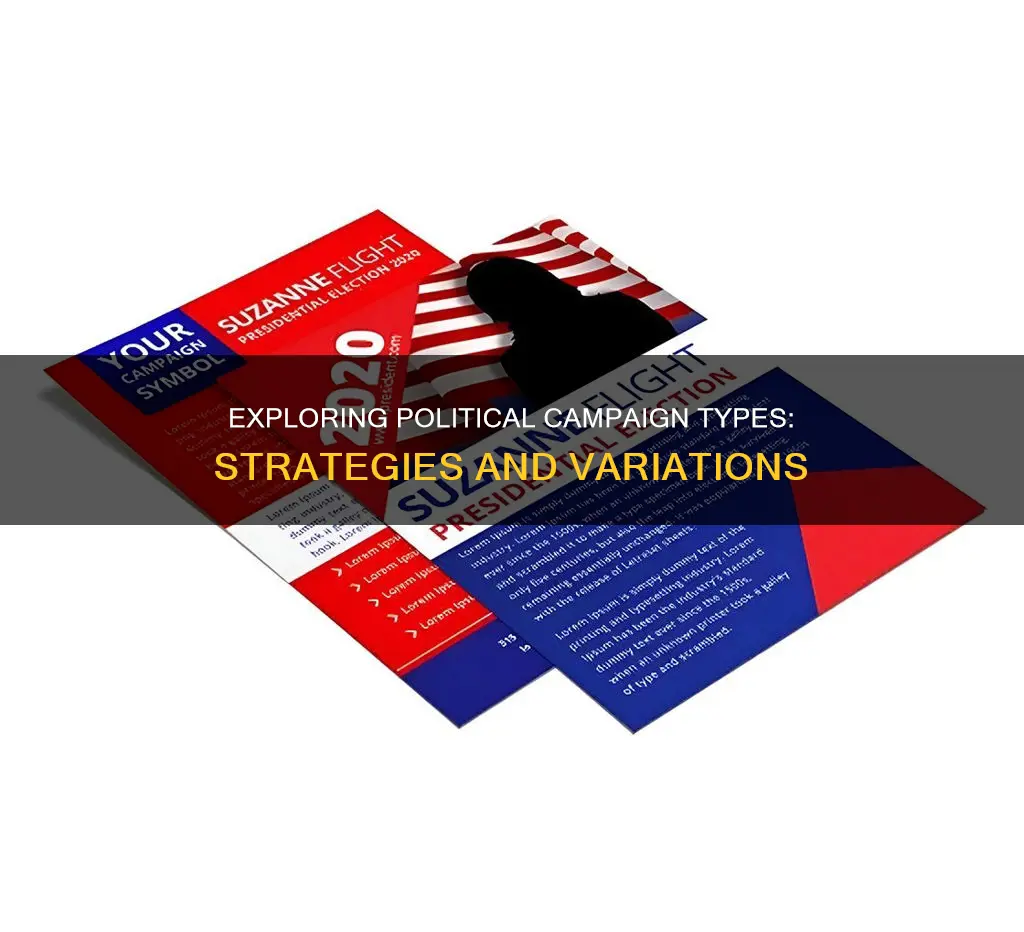 what types of political campaigns are there