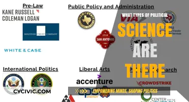 Exploring the Diverse Branches of Political Science: A Comprehensive Guide