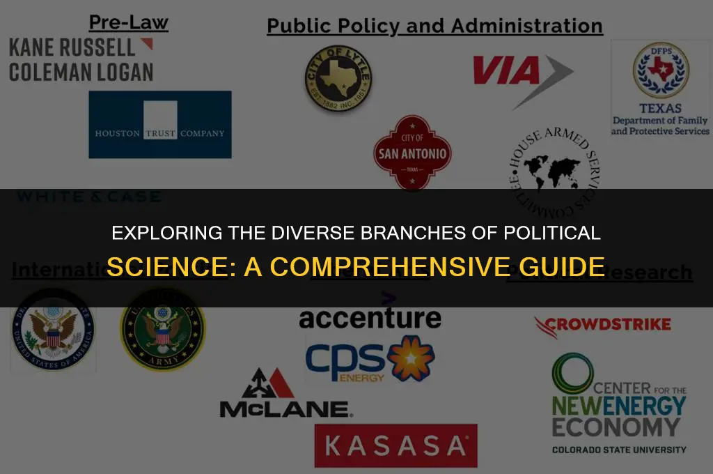 what types of political science are there