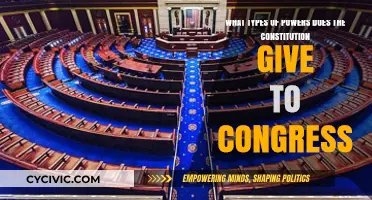 The Constitution's Congressional Powers: Explained