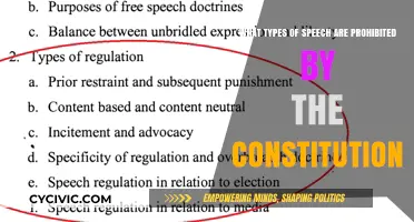 Understanding the Limits of Free Speech in America