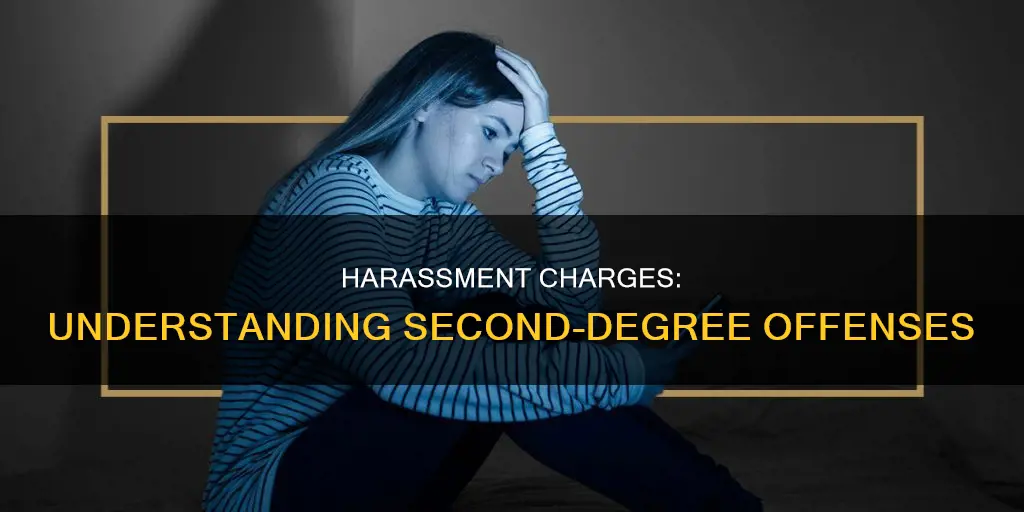 what types of things constitute 2nd degree harassment