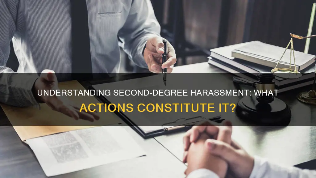 what types of things constitute 2nd degree harrassment