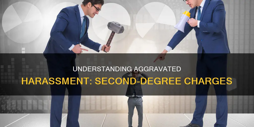 what types of things constitute aggravated harrassment 2nd degree