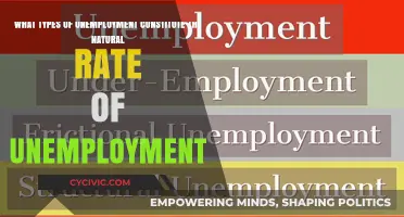 Understanding the Natural Rate of Unemployment