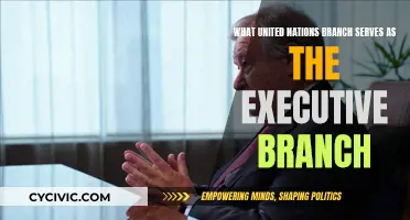 The United Nations' Executive Arm: What's Its Function?