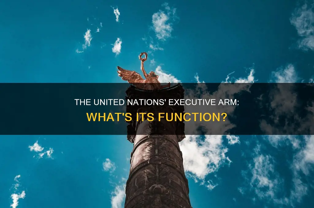 what united nations branch serves as the executive branch
