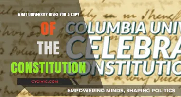 Universities Offering a Constitution Copy