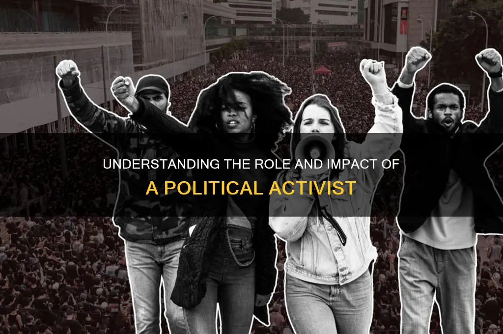 what us a political activist