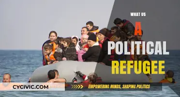 Understanding Political Refugees: Causes, Rights, and Global Impact Explained