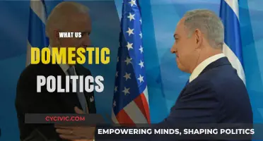 Understanding US Domestic Politics: Policies, Parties, and Power Dynamics