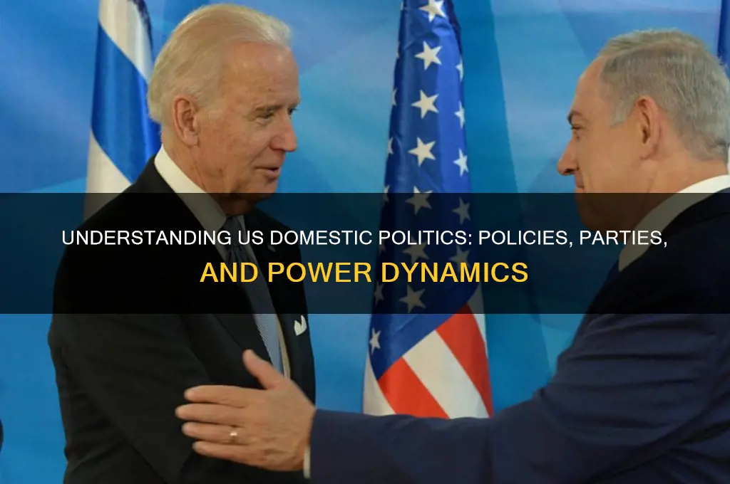 what us domestic politics